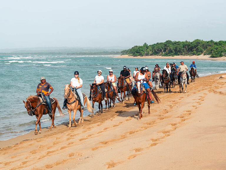 Beach Horseback Riding