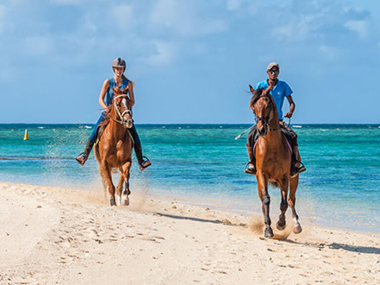 Beach Horseback Riding