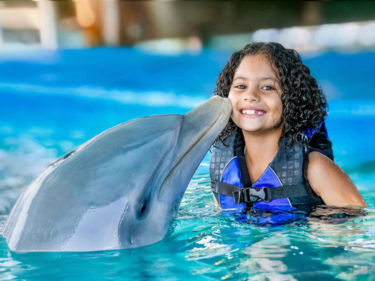 Dolphin Encounter